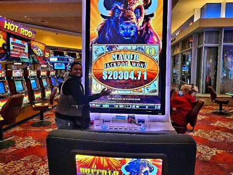 buffalo stampede slot machine